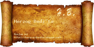 Herzog Beáta névjegykártya